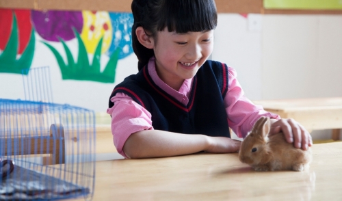 Caring for a New Pet