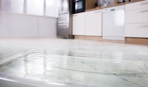 Rent The Equipment You Need To Remove Water Grand Rental True