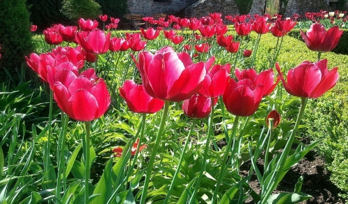 Gardening Trends for 2016