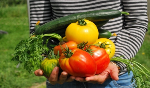 Vegetables to Plant in Midsummer