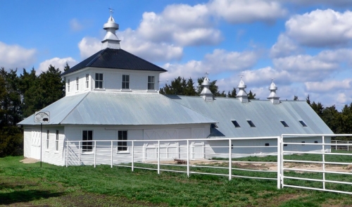 Tips To Prevent Barn Flies