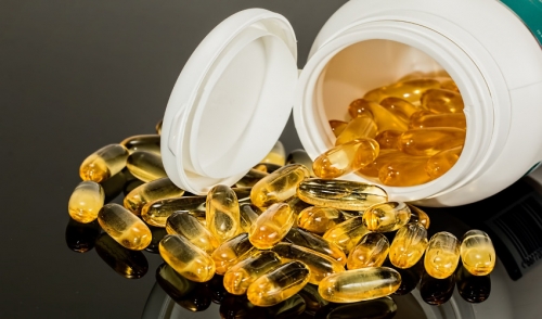 Dietary Supplements for Pets