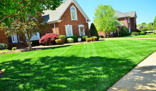 Don't Forget to Fertilize Your Lawn This Fall