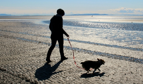 Walking Your Dog: 4 Simple Ways to Keep it Interesting