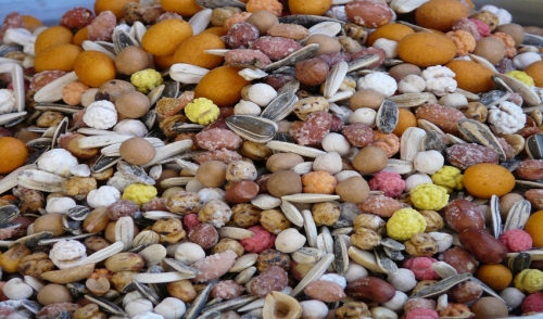 Storing Birdseed