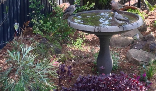 How To Winterize Outdoor Water Fountains Rail City Garden