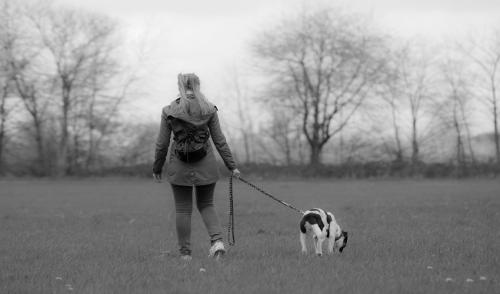 Getting a Grip on Dog Leashes