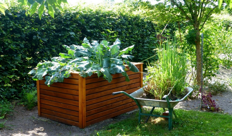 Build Your Own Raised Garden Bed | Louisiana Nursery