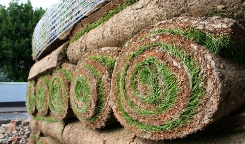 Eight Steps to Properly Laying Sod