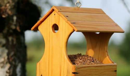 How to Clean Your Bird Feeders | A&G Lawn and Garden Center | Englewood, FL