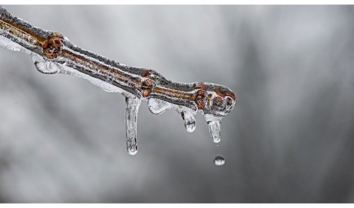 Spring Maintenance: What to Look for After the Snow Melts