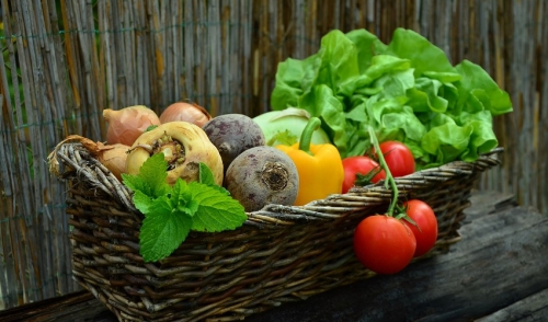 Tips For Planting Your Garden