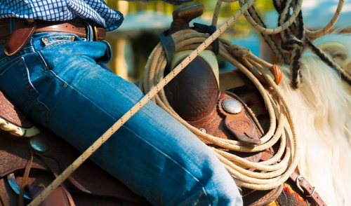 Five Basic Steps For Saddling Your Horse