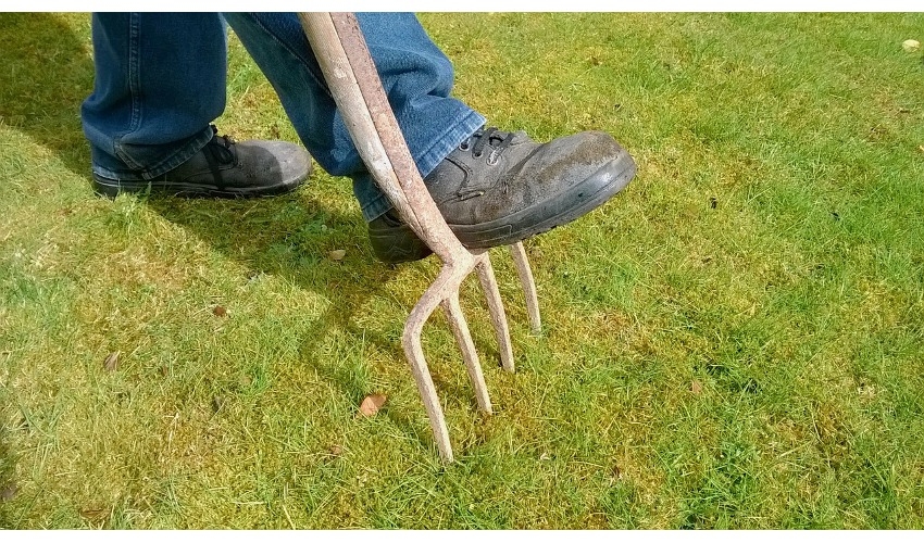 When You Should Aerate Your Lawn | De Pere True Value ...