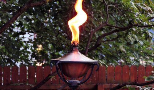 Controlling Mosquitoes In Your Lawn