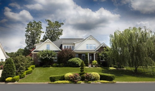 Prepare Your Trees & Shrubs for Winter