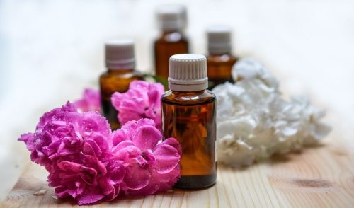 Are Oils Safe to Use on My Pet