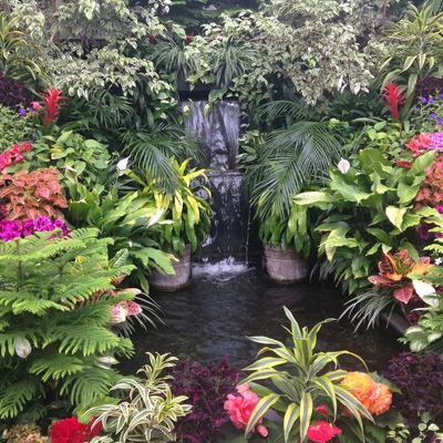 Water Features