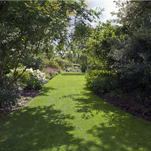 Events at Rail City Garden Center, Pond Supplies Reno, Sparks