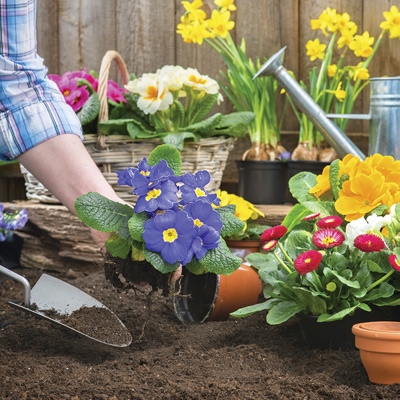 Garden Center