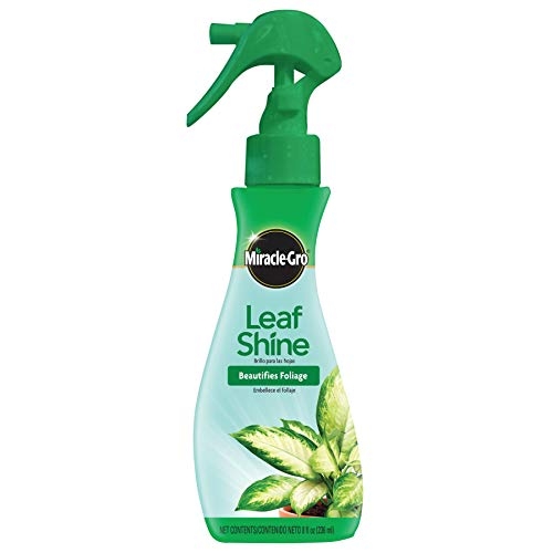Miracle Gro Leaf Shine Spray 8 oz. Liberty Home, Garden Inc. Liberty, NY