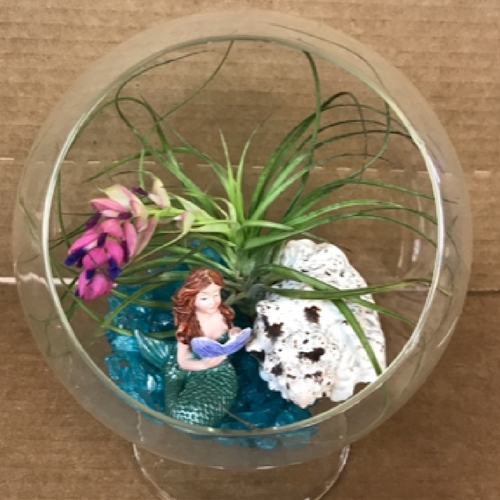 Bobs Garden Center, Garden Center South Jersey, Plant Nursery South