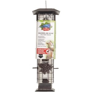 Perky Pet Squirrel Be Gone Rustic Leaf Bird Feeder Rainey S Feed