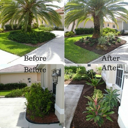 Landscape Consultation & Design Services