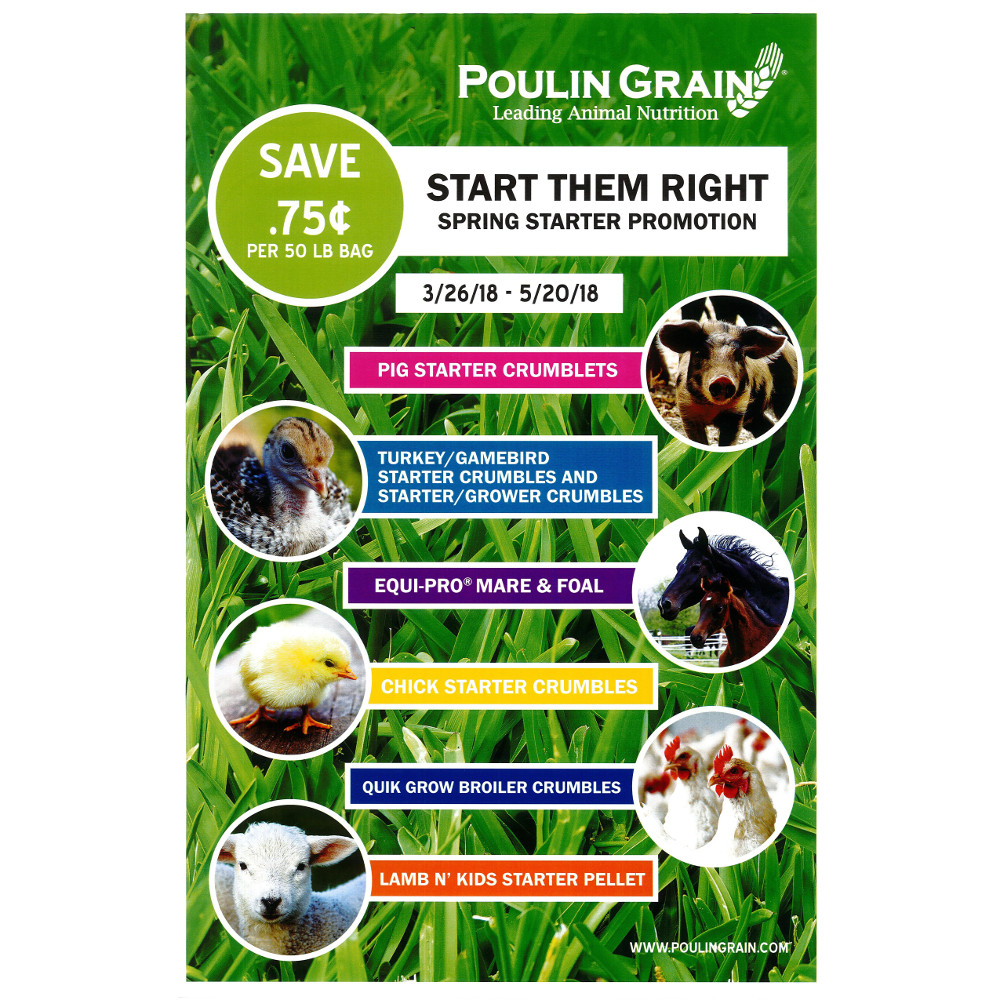 Home, Pet Supplies, Farm Supplies, Bird Seed, Bird Feeders, Landscaping