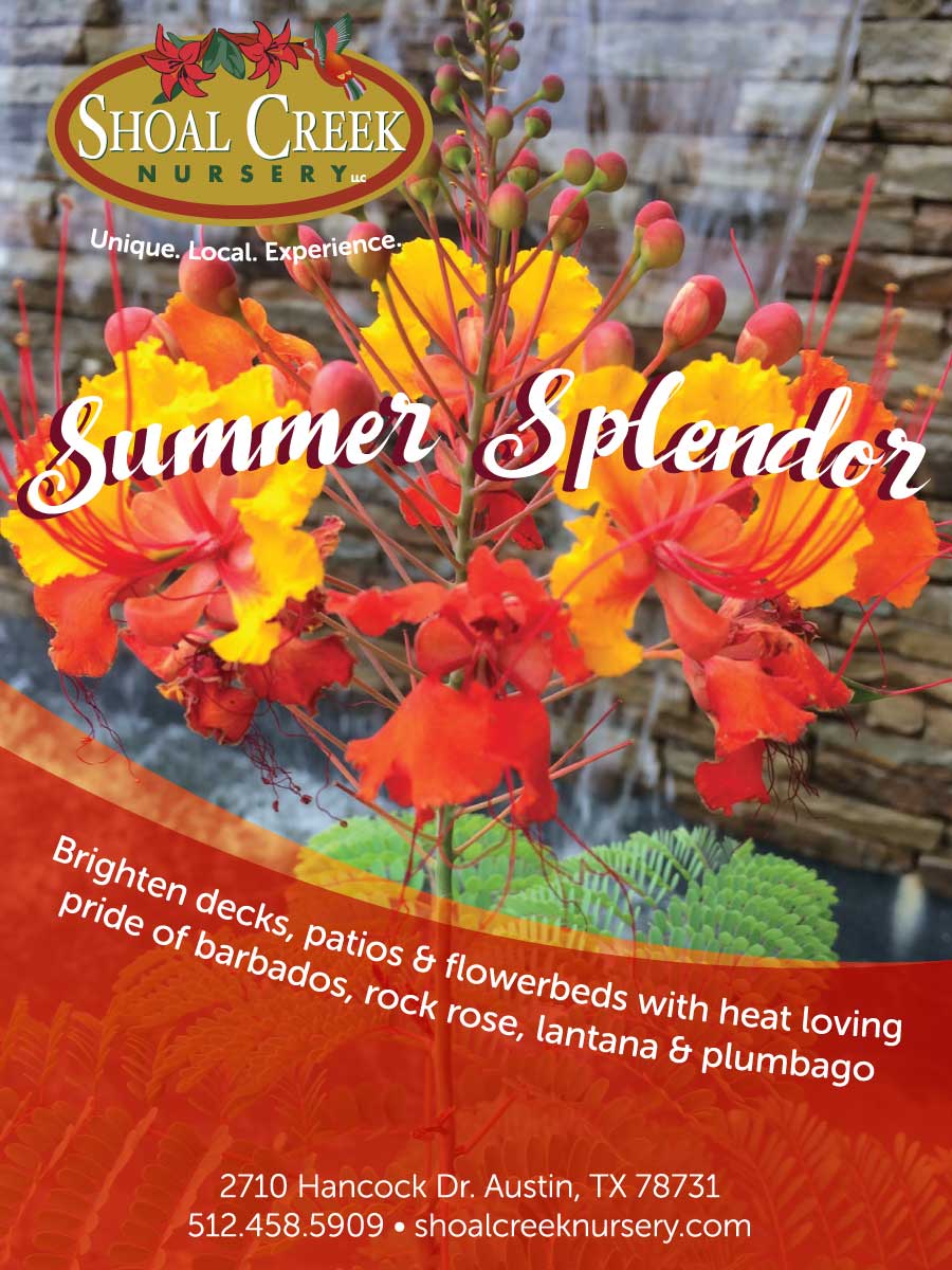 Shoal Creek Nursery Austin, Plant Nursery Austin TX, Austin Nurseries