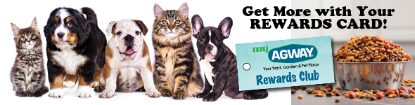 myAgway Rewards