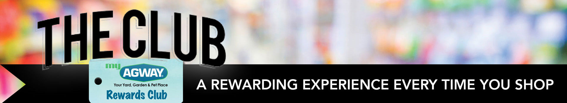 myagway banner