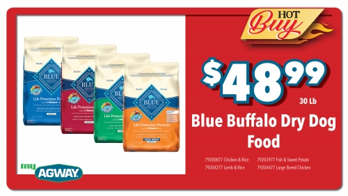 Blue Buffalo Dry Dog Food