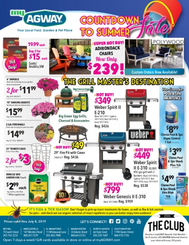 Sales Flyer