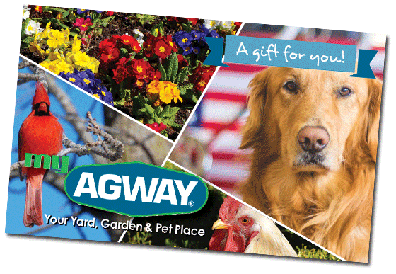 Agway Gift Cards