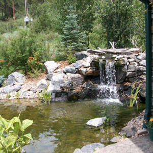 Ponds