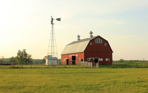 Brazos Feed Supply Inc Supplying Cattle Horse Pet Chick