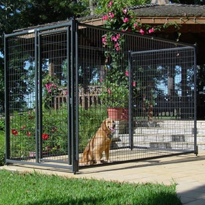 Priefert® Dog Kennel | Family Farm & Garden