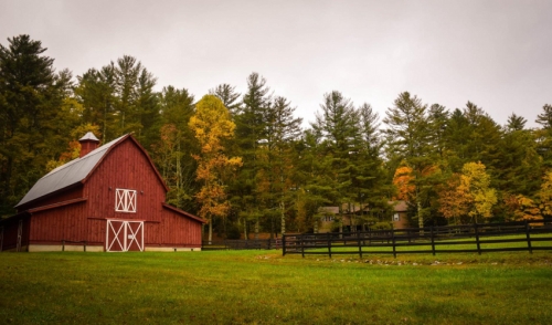 Autumn Cow Calf Management Tips