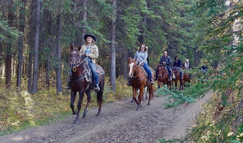 How to Prepare Your Horse for Trail Riding