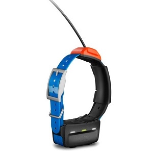 garmin pt5 collar
