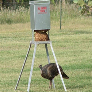All Seasons Block Feeder Brazos Feed Supply Inc Bryan Tx