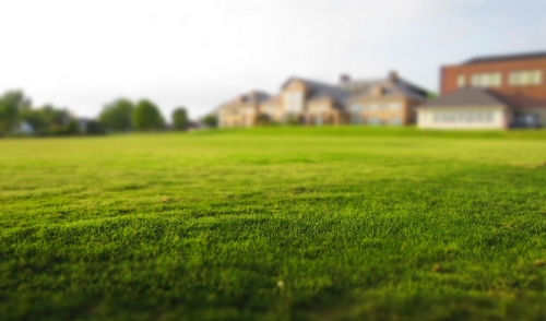 Fertilization by the Numbers – Making Sense of it All