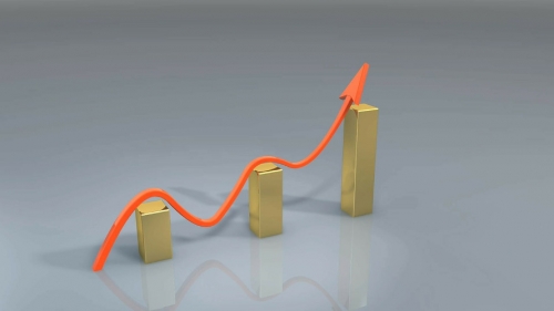 How Quickly Should You Grow Your Company?