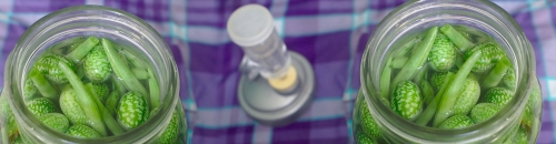 Stock Up on Canning Supplies