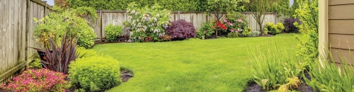 Neutralize an Acidic Lawn