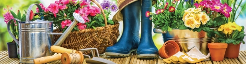 Spring begins this month!