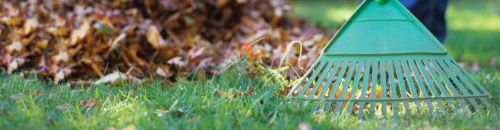 Fall Lawn & Garden Clean-up