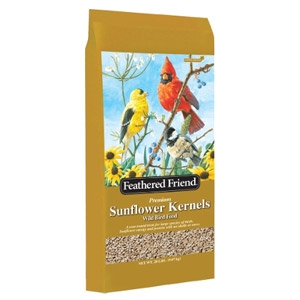Sunflower Potsdam Agway Potsdam Ny