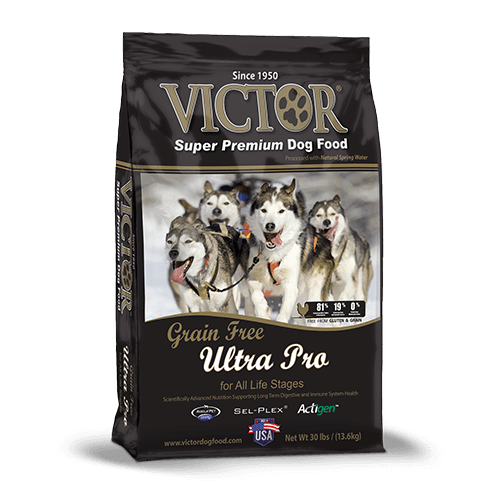 ultra dry dog food